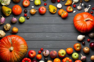 Frame of different fresh vegetables and fruits on black wooden table, flat lay with space for text. Farmer harvesting