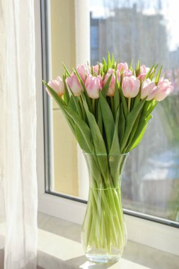 Spring is coming. Bouquet of beautiful tulip flowers in glass vase on windowsill indoors
