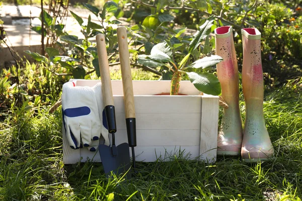 Λευκό Ξύλινο Κιβώτιο Φυτά Γάντια Εργαλεία Κηπουρικής Και Λαστιχένιες Μπότες — Φωτογραφία Αρχείου