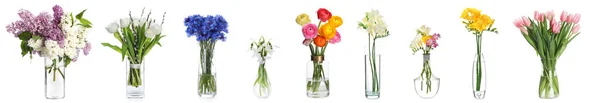 Collage Many Beautiful Flowers Glass Vases White Background — Stock fotografie
