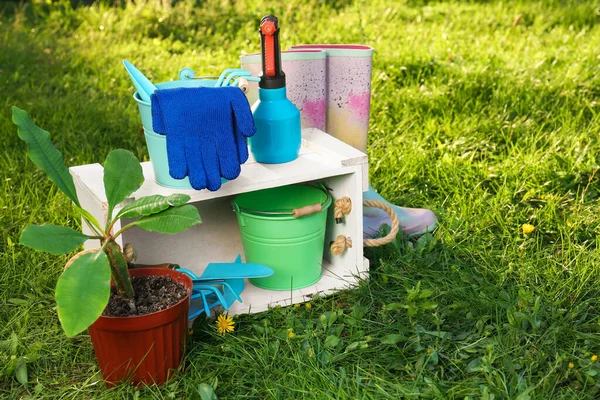 Pair of gloves, gardening tools, potted plant and rubber boots on grass outdoors