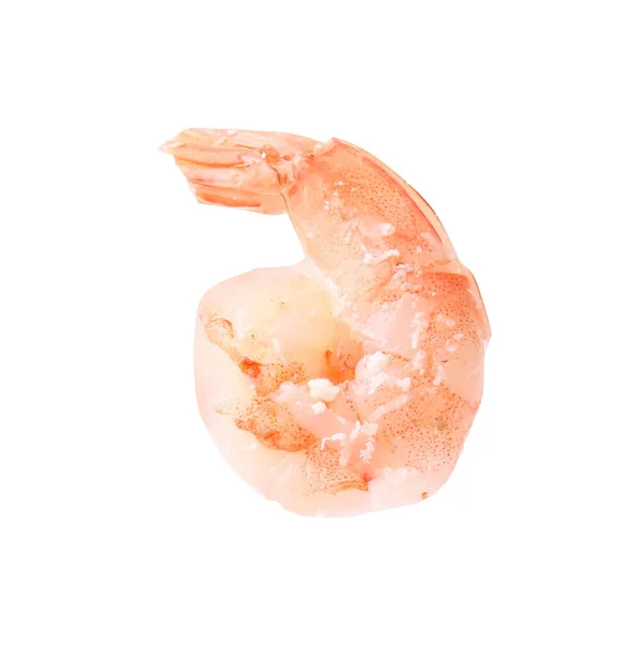 One Tasty Boiled Shrimp Isolated White — Stockfoto