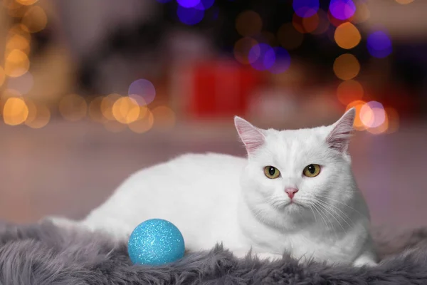 Kerstsfeer Schattige Kat Met Bauble Rustend Tapijt Tegen Wazig Licht — Stockfoto