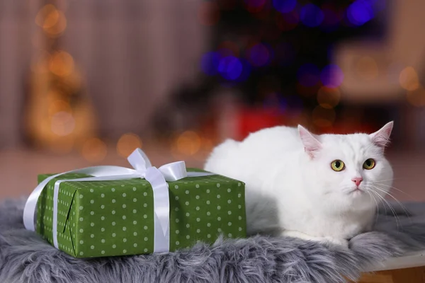 Christmas Atmosphere Cute Cat Lying Gift Box Fur Rug Blurred — Stockfoto