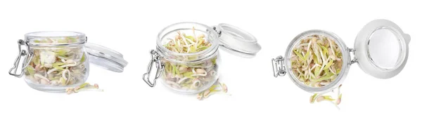 Many Mung Bean Sprouts Glass Jar White Background Different Sides — ストック写真