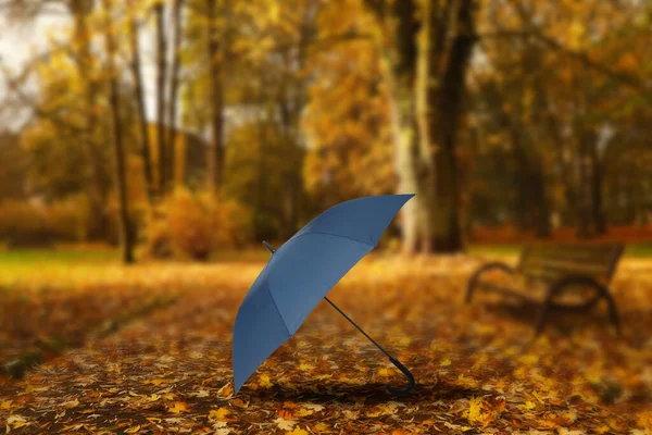 Podzimní Atmosféra Tmavě Modrý Deštník Zanechal Někdo Krásném Parku Zlaté — Stock fotografie
