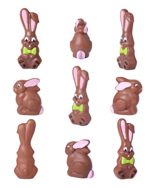Tasty Chocolate Bunnies White Background Different Sides — Stok fotoğraf