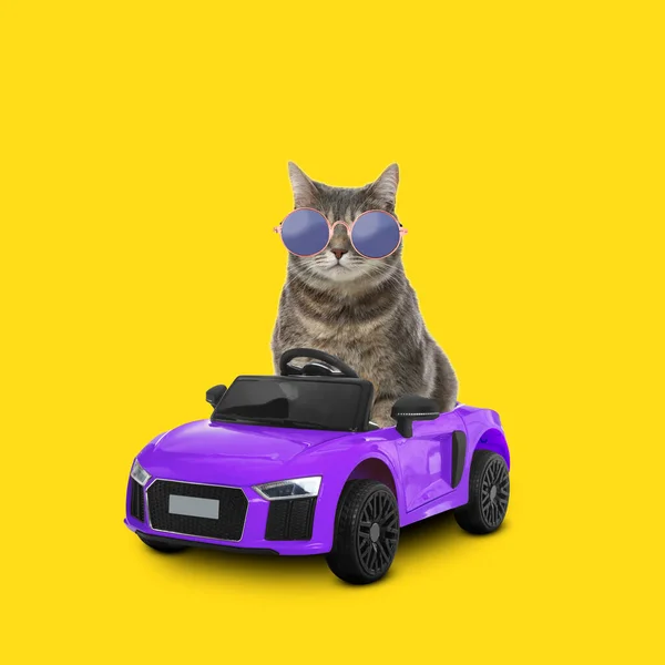 Cute Cat Stylish Sunglasses Toy Car Yellow Background — Stock Photo, Image