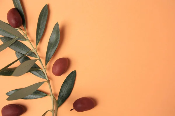 Olives Fraîches Feuilles Vertes Sur Fond Orange Pâle Plat Espace — Photo
