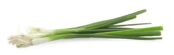 Fresh Green Spring Onions White Background — Stock Photo, Image