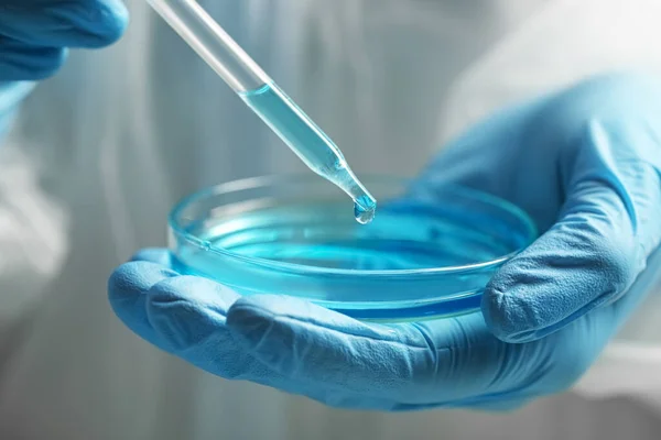 stock image Scientist dripping liquid from pipette into petri dish, closeup