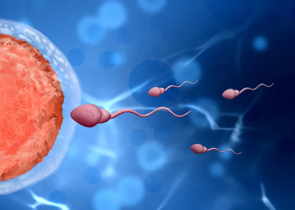 stock image Fertilization process. Sperm cells moving to ovum on blue background