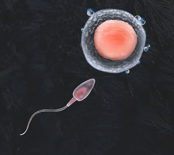 stock image Cryopreservation of genetic material. Sperm cell and ovum on black background, frost effect