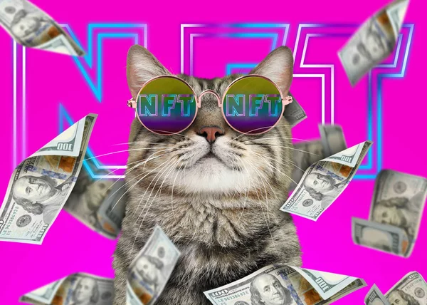 Cool Cat Money Shower Bright Pink Background Abbreviation Nft Reflecting — Stock Photo, Image