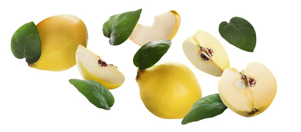 Fresh Quinces Green Leaves Flying White Background Stock Photo
