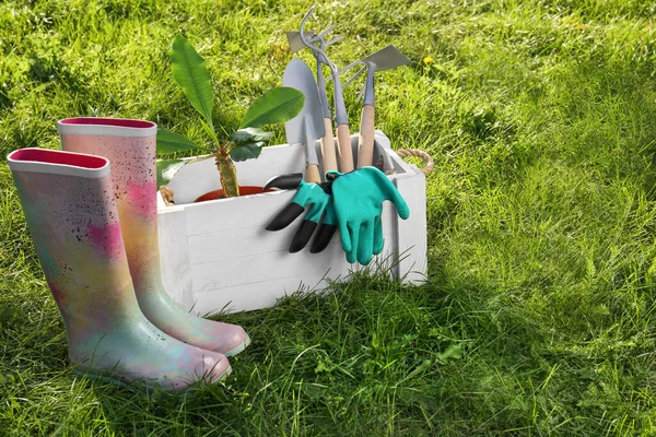 Λευκό Ξύλινο Κιβώτιο Φυτά Γάντια Εργαλεία Κηπουρικής Και Λαστιχένιες Μπότες — Φωτογραφία Αρχείου