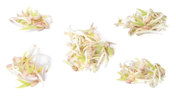 Many Mung Bean Sprouts White Background — 스톡 사진