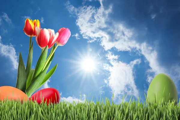 Húsvéti Tojás Tulipán Zöld Fűben Kék Alatt Hely Szövegnek — Stock Fotó