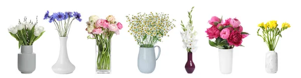 Colagem Com Muitas Flores Bonitas Vasos Diferentes Fundo Branco — Fotografia de Stock