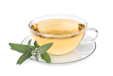 Cup of aromatic herbal tea and fresh sage isolated on white