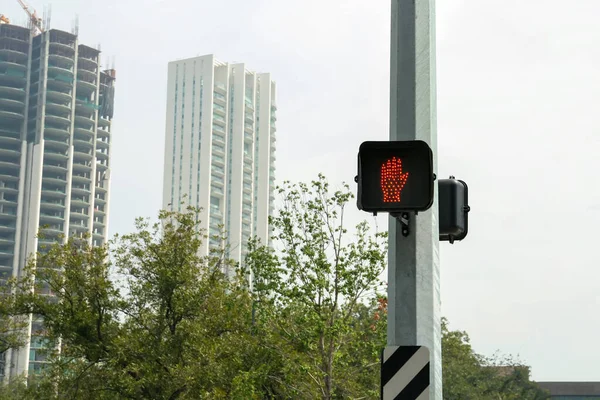 Traffic lights on city street. Road rules