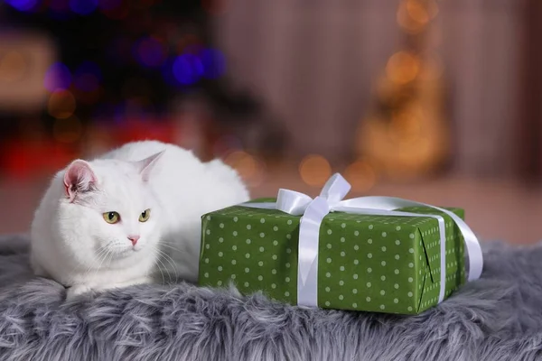 Christmas Atmosphere Cute Cat Lying Gift Box Fur Rug Blurred — Stockfoto