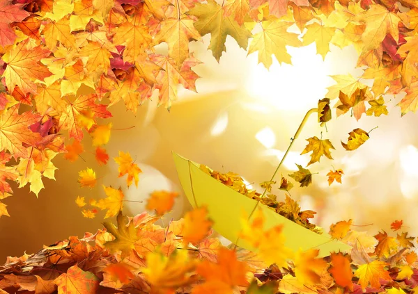 Φθινοπωρινή Μαγεία Χρυσά Φύλλα Που Πετούν Έξω Από Κίτρινη Ομπρέλα — Φωτογραφία Αρχείου