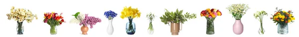 Koláž Mnoha Krásnými Kytice Různých Váz Bílém Pozadí — Stock fotografie