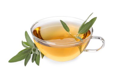 Cup of aromatic herbal tea and fresh sage isolated on white