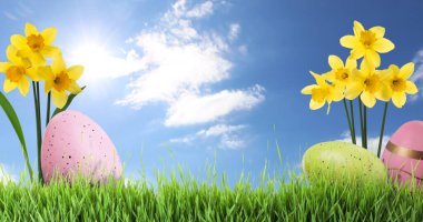 Easter eggs and daffodils in green grass under blue sky, space for text