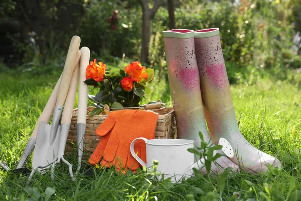 园艺工具 盛开的玫瑰灌木和橡胶靴在室外草地上的搭配 — 图库照片
