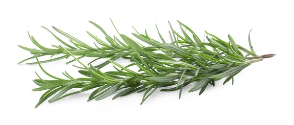 Fresh Green Rosemary Twigs Isolated White — Stock Fotó