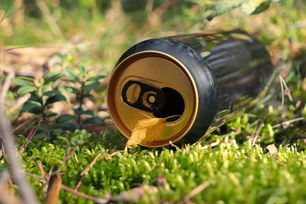 Used Aluminium Can Green Grass Outdoors Closeup Recycling Problem — Φωτογραφία Αρχείου