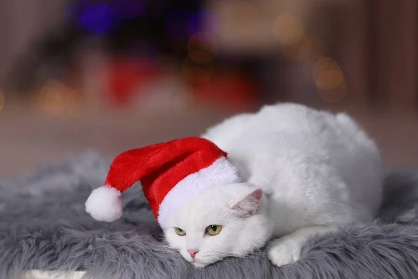 Ładny Kot Noszący Świąteczny Kapelusz Dywanie Futra Przed Rozmytymi Światłami — Zdjęcie stockowe
