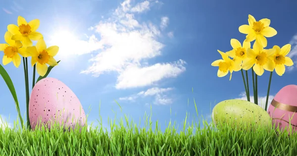 Easter Eggs Daffodils Green Grass Blue Sky Space Text — Fotografia de Stock