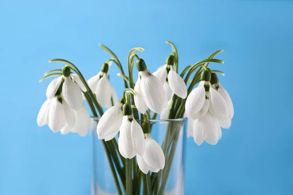 Beautiful snowdrops in vase on light blue background, closeup