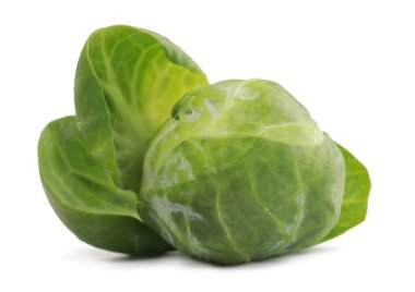 Fresh green brussels sprout isolated on white