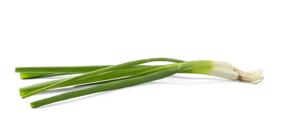 Świeże Zielone Cebule Wiosna Białym Tle — Zdjęcie stockowe