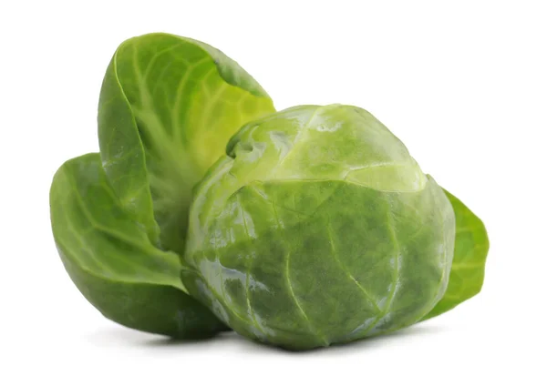 Fresh Green Brussels Sprout Isolated White — Stockfoto