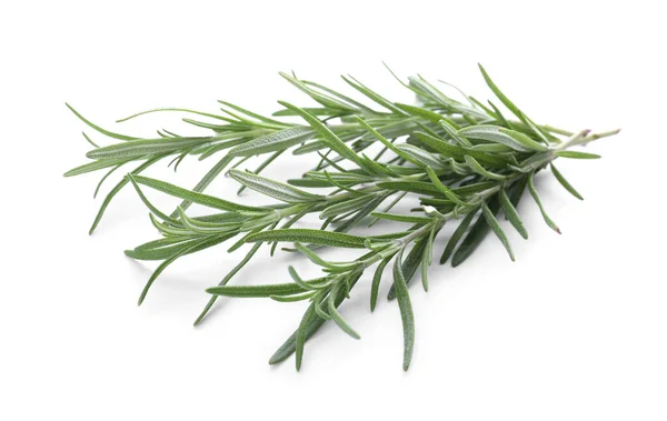 Fresh Green Rosemary Twigs Isolated White — Fotografie, imagine de stoc