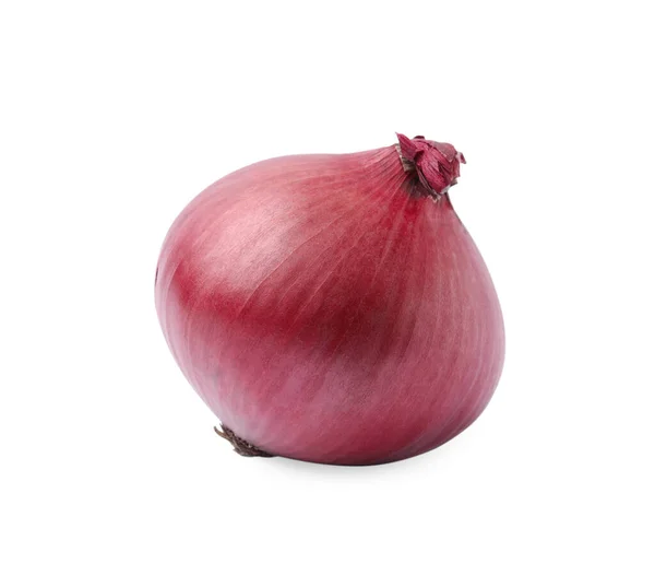 One Fresh Red Onion White Background — Stock fotografie