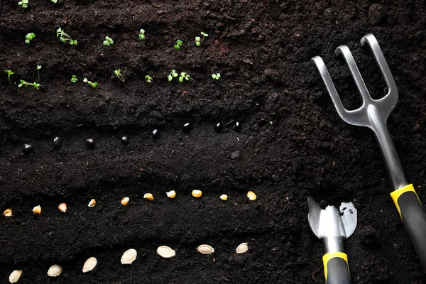 Different Vegetable Seeds Tools Fertile Soil Flat Lay — Stockfoto