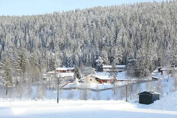 屋外の雪の森とコテージの絵のような景色 冬の風景 — ストック写真
