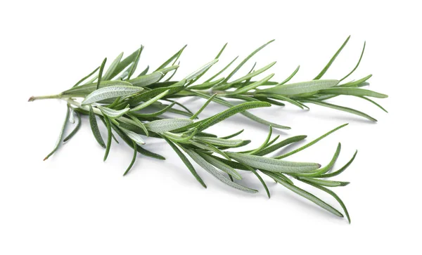 Fresh Green Rosemary Twigs Isolated White — 스톡 사진