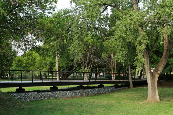 公园内有金属栏杆和许多树木的桥的风景画 — 图库照片