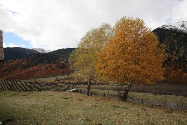 Picturesque View Fence Mountains Forest Autumn Day — Fotografia de Stock