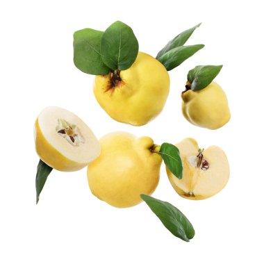 Fresh quinces with green leaves falling on white background