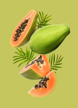 Açık yeşil zemine düşen taze papaya meyveleri ve yaprakları