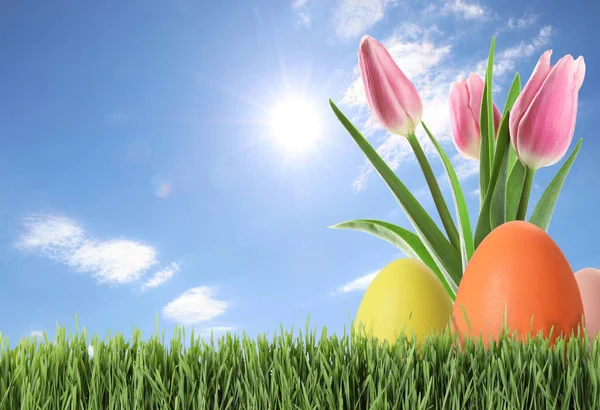 Easter Eggs Tulips Green Grass Blue Sky Space Text — 图库照片