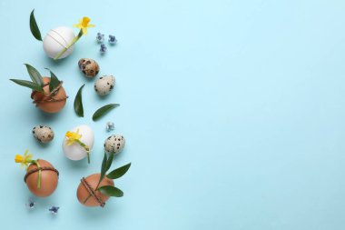 Easter eggs decorated with green leaves and flowers on light blue background, flat lay. Space for text